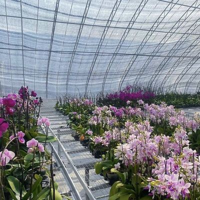 30 Days Return refunds Origin Sparay Irrigation Greenhouse for Customer Satisfaction