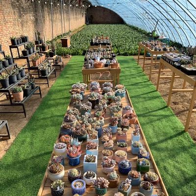 30 Days Return refunds Origin Sparay Irrigation Greenhouse for Customer Satisfaction
