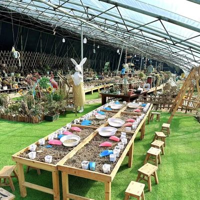 US 20/Square Meter Hydroponics Sunlight Greenhouse for Vegetable Strawberry Flower