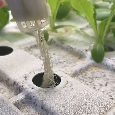 Leafy Greens Container Greenhouse Roofing Sheet JX-A00103 Suitable for Leaf Vegetable