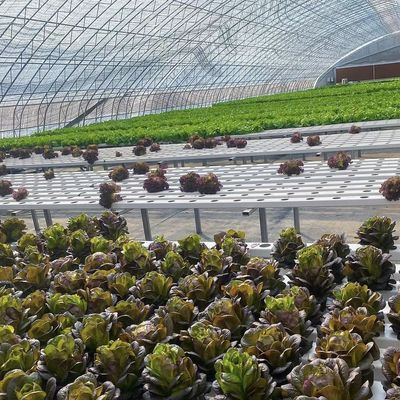 Package Gross Weight 100.000kg Sunlight Greenhouse Drip Irrigation for Flower Planting