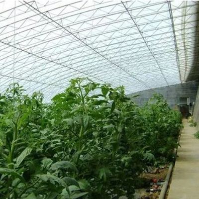 Advanced Humidity Control and Sunlight System for Vegetables in Commercial Greenhouse