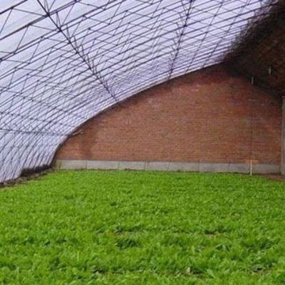 Advanced Humidity Control and Sunlight System for Vegetables in Commercial Greenhouse