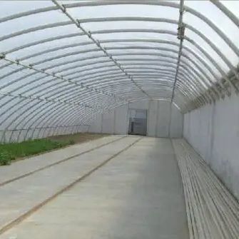 Humidity Controlled Sunlight Greenhouse for Large Tomato Cucumber Cultivation in Sand