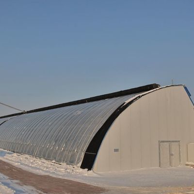 Arched Roof Greenhouse The Ultimate Sunlight Solution for Tomato and Cucumber Farming