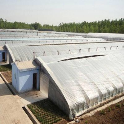 2000.000kg Package Gross Weight Advanced Vegetable Growing Sunlight Greenhouse System