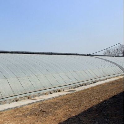 2000.000kg Package Gross Weight Advanced Vegetable Growing Sunlight Greenhouse System