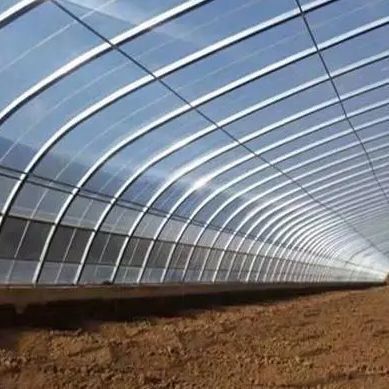 Full Payment Juxiang prime s Illuminate Sunlight Greenhouse for Tomato Film Cover Material