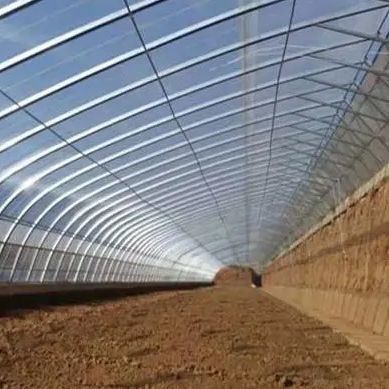 Irrigation and Ventilation System for Shading Cucumber Planting in Sunlight Greenhouse