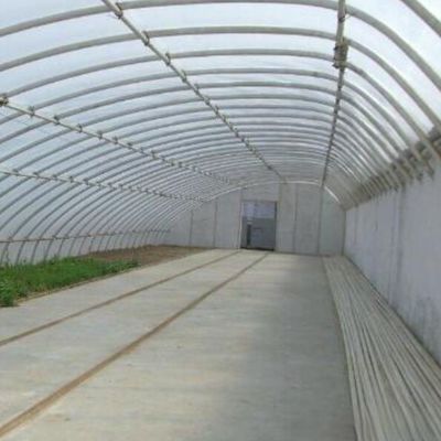 2000.000kg Juxiang's Commercial Sunlight Greenhouse for Strawberry Farming jx-sg-108