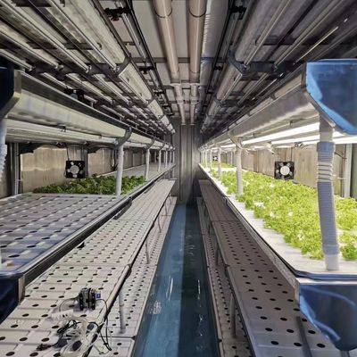 Hydroponic Cultivation Greenhouse for Leafy Vegetables Cultivation Method Hydroponics