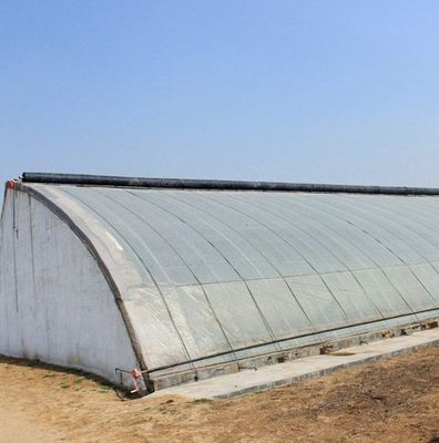 JX-SG-111 Climate-Controlled Sunlight Greenhouse for Sand Culture Vegetable Planting