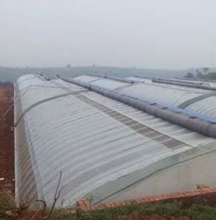 JX-SG-111 Climate-Controlled Sunlight Greenhouse for Sand Culture Vegetable Planting