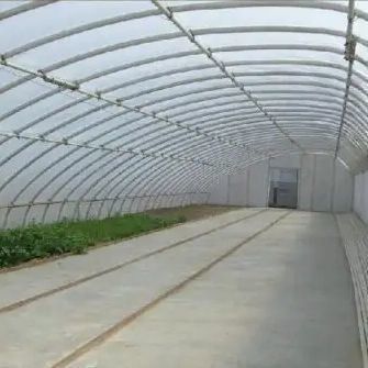 2000.000kg Tomato and Cucumber Cultivation Sunlight Greenhouse Solution with Arched Roof