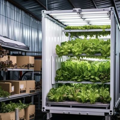 Double Layer Steel Structure Shipping Container Greenhouse for Leafy Veggies Planting