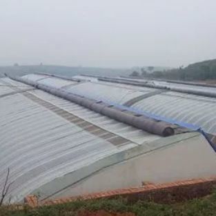 Film Covered Sunlight-Enhanced Greenhouse for Cucumber Cultivation in Sand Culture