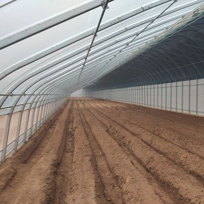 Film Covered Sunlight-Enhanced Greenhouse for Cucumber Cultivation in Sand Culture