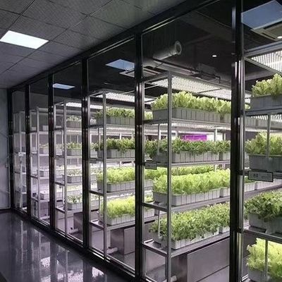 Reefer Container Greenhouse For Leaf Vegetable Smart Container Greenhouse