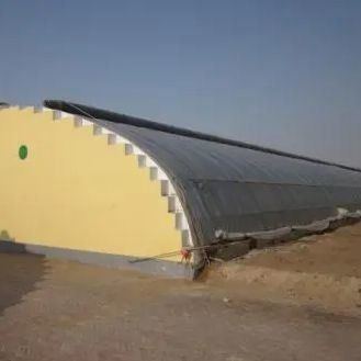 Large-Scale Cucumber Farming Made Easy with Humidity-Controlled Commercial Greenhouse