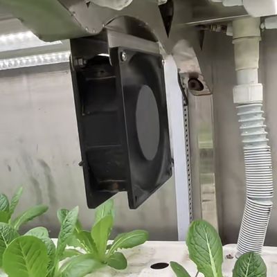 Steel Cover Leafy Greens Container Greenhouse For Customization