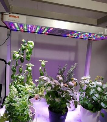 Steel Structure Hydroponic Container Greenhouse with Multi-Span Vertical Farming System