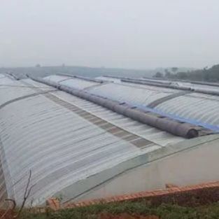 Commercial Hydroponic Greenhouse for Cucumber Planting Heating Method Temporary Heating