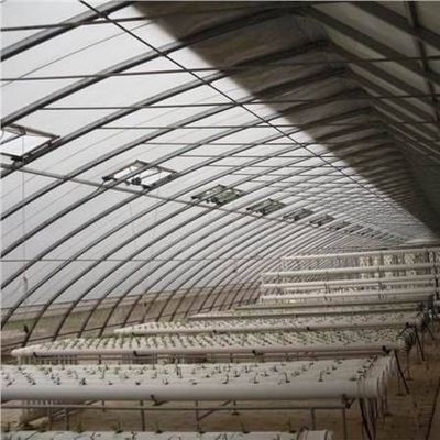 Advanced Vegetable Cultivation Sunlight Greenhouse 40HQ Reefer Container for Superior