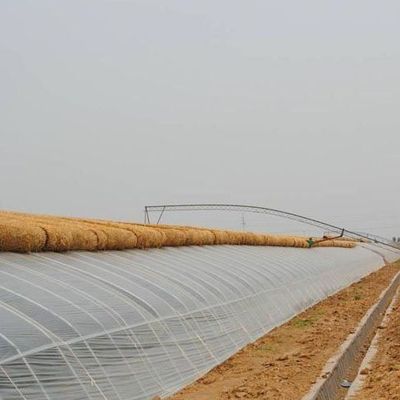 Advanced Vegetable Cultivation Sunlight Greenhouse 40HQ Reefer Container for Superior