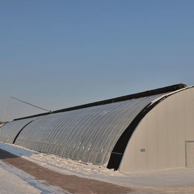 Square Meter Commercial Cucumber Cultivation Sunlight Greenhouse Solution with Output