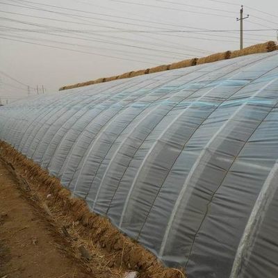 Square Meter Commercial Cucumber Cultivation Sunlight Greenhouse Solution with Output
