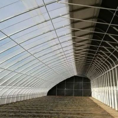 Square Meter Commercial Cucumber Cultivation Sunlight Greenhouse Solution with Output