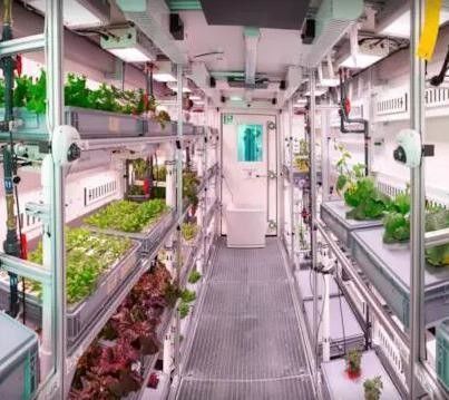 Steel Structure Hydroponic System Container Greenhouse for Vertical Farming Solution