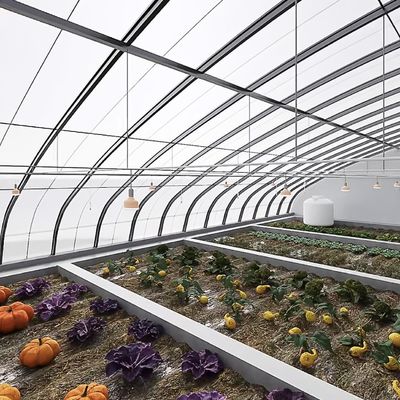 Shading and Ventilation Tomato Cultivation System for 40HQ Reefer Container Shipping
