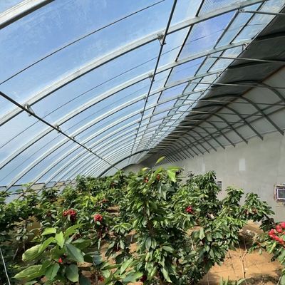 Shading and Ventilation Tomato Cultivation System for 40HQ Reefer Container Shipping