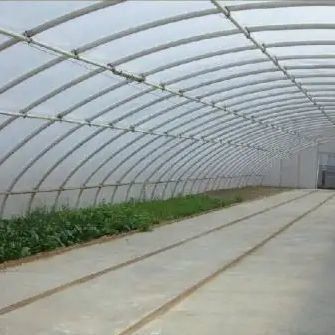 Shading and Ventilation Tomato Cultivation System for 40HQ Reefer Container Shipping