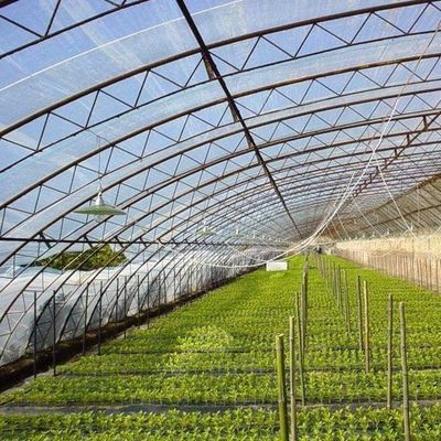 Shading and Ventilation Tomato Cultivation System for 40HQ Reefer Container Shipping