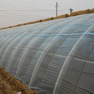 US Currency Commercial Tomato Planting Sunlight Greenhouse for Optimal Crop Production