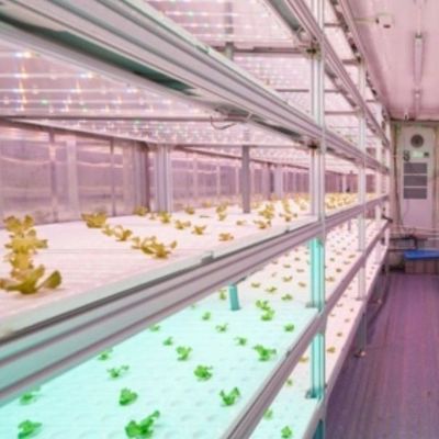 Shipping Container Greenhouse for Hydroponic Vertical Farming in Commercial Industry
