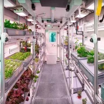 Commercial Greenhouse Hydroponic Vertical Farming Container