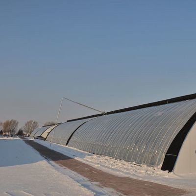 Tomato Sunlight Greenhouse Optimized Irrigation System with Single Span JX-SG-127