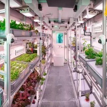 Commercial Vertical Farming Container Greenhouse With Hydroponic System