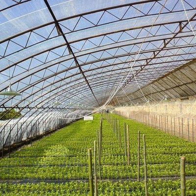 Temporary Heating Climate-Controlled Sunlight Greenhouse for Tomato and Cucumber