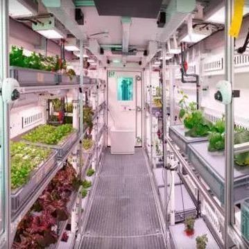 Vegetables Hydroponic System Container Greenhouse for Vertical Farming Setup JX-CG-103