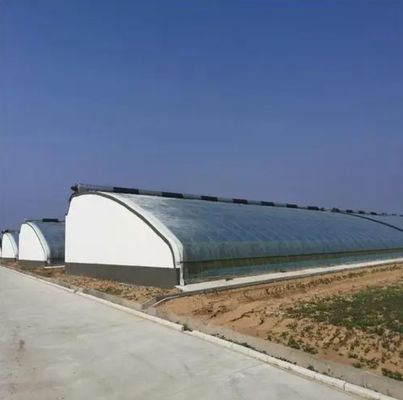 Juxiang Automated Irrigation Sunlight Greenhouse for Vegetables Ventilation and Shading