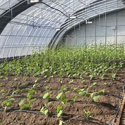 Juxiang Automated Irrigation Sunlight Greenhouse for Vegetables Ventilation and Shading