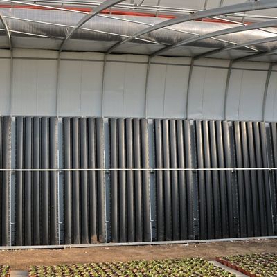 Juxiang Automated Irrigation Sunlight Greenhouse for Vegetables Ventilation and Shading