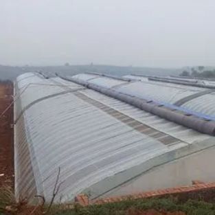 Juxiang Automated Irrigation Sunlight Greenhouse for Vegetables Ventilation and Shading