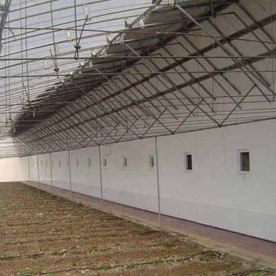 Irrigation System Sunlight Greenhouse for Vegetable US Currency and Temporary Heating