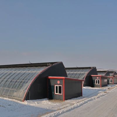 Irrigation System Sunlight Greenhouse for Vegetable US Currency and Temporary Heating