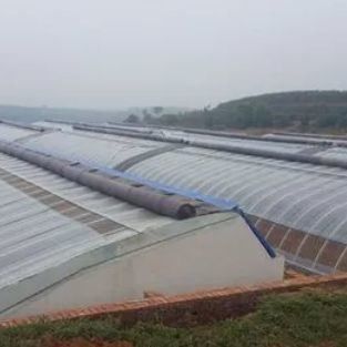 Irrigation System Sunlight Greenhouse for Vegetable US Currency and Temporary Heating